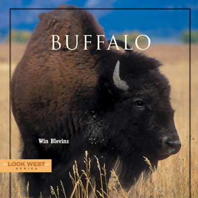 Cover for Win Blevins · Buffalo (Inbunden Bok) (2005)