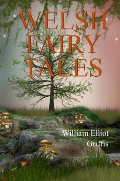 Cover for William Elliot Griffis · Welsh Fairy Tales (Paperback Book) (2017)