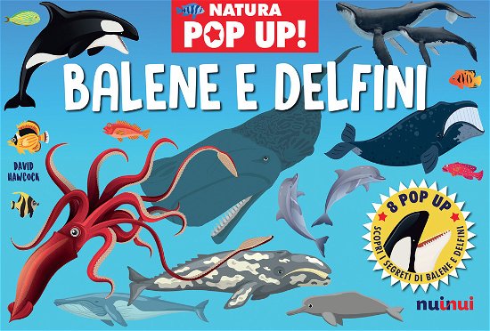 Balene E Delfini. Natura Pop Up! Ediz. A Colori - David Hawcock - Books -  - 9782889750733 - 