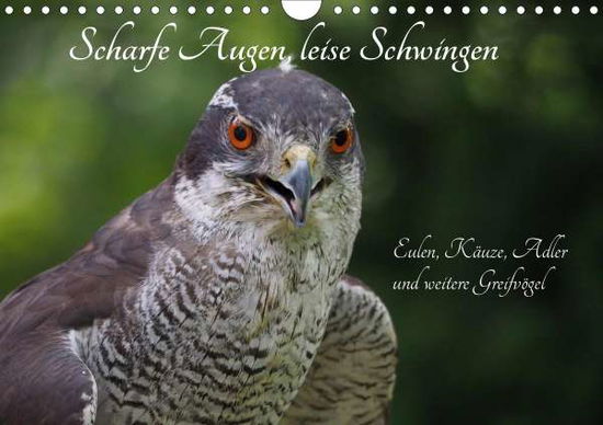 Cover for Sperling · Scharfe Augen, leise Schwingen (Buch)