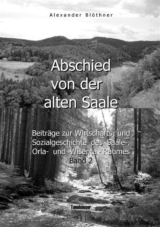 Cover for Blöthner · Abschied von der alten Saale: (Bog) (2017)