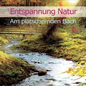 Cover for Dingler · Entspannung Natur-Am plätsch.CD (Bok) (2011)