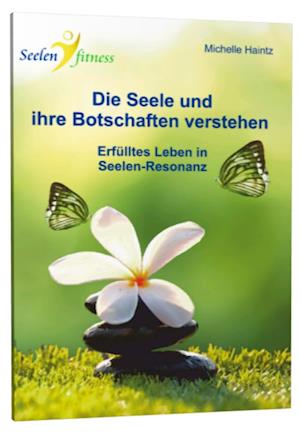 Die Seele und ihre Botschaften verstehen - Michelle Haintz - Książki - Schulze, Angelina - 9783943729733 - 23 września 2017