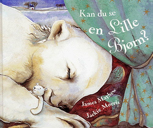 Cover for James Mayhew · Kan du se en lille bjørn? (Bound Book) [1st edition] (2005)