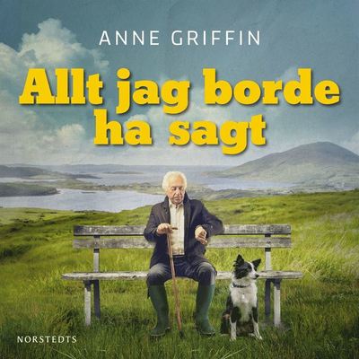 Cover for Anne Griffin · Allt jag borde ha sagt (Audiobook (MP3)) (2020)