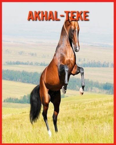 Cover for Annie Nichols · Akhal-Teke (Paperback Book) (2021)