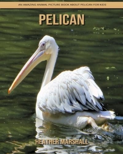 Cover for Heather Marshall · Pelican: An Amazing Animal Picture Book about Pelican for Kids (Taschenbuch) (2021)