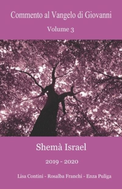 Cover for Rosalba Franchi · Commento al Vangelo di Giovanni Volume 3: Shema Israel 2019-2020 (Paperback Book) (2021)