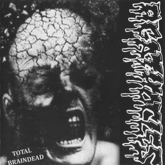 Cover for Agathocles · Split (CD) (2015)