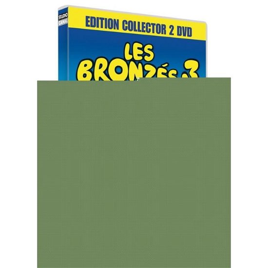 Cover for Les Bronzes 3 · Amis Pour La Vie (DVD) (2019)