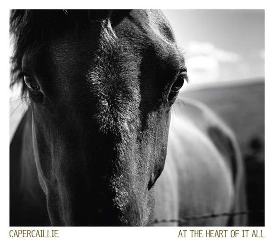 At the Heart of It All - Capercaillie - Musiikki - CADIZ -VERTICAL - 5055014600734 - perjantai 21. huhtikuuta 2017