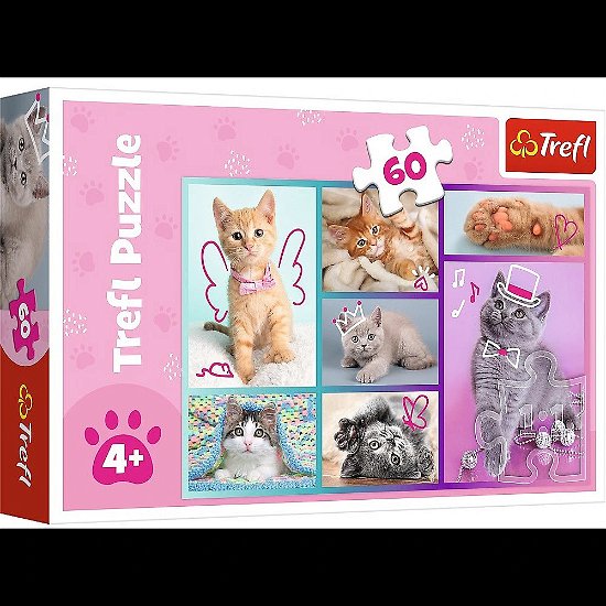 Puzzle 60- Cute Cats/ Trefl - Trefl - Merchandise -  - 5900511173734 - 