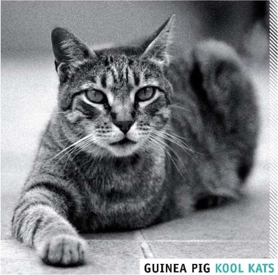 Cover for Guinea Pig! · Kool Kats (CD) (2006)