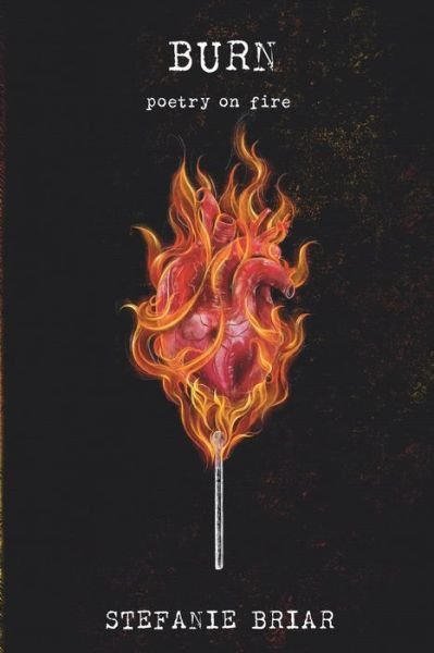 Cover for Stefanie Briar · Burn (Bok) (2021)