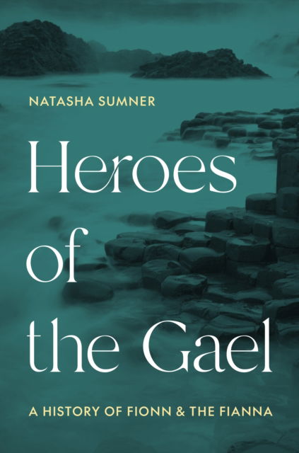 Heroes of the Gael: A History of Fionn and the Fianna - Professor Natasha Sumner - Books - Princeton University Press - 9780691204734 - February 17, 2026