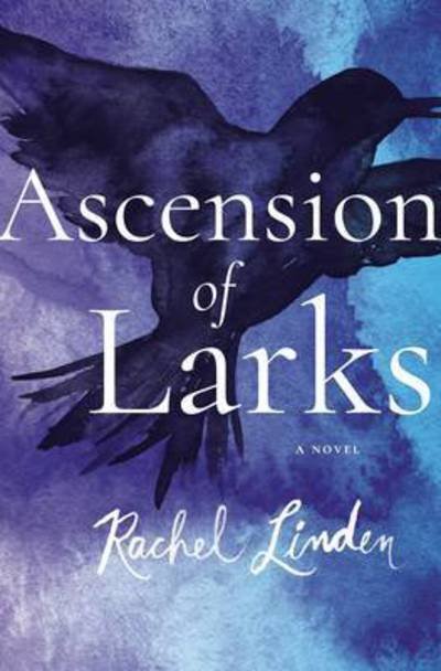 Cover for Rachel Linden · Ascension of Larks (Paperback Book) (2017)