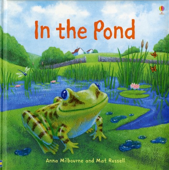 Cover for Anna Milbourne · In the Pond - Picture Books (Hardcover Book) (2007)