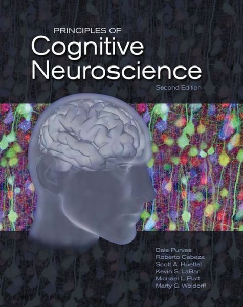 Principles of Cognitive Neuroscience - Dale Purves - Bøker - Oxford University Press Inc - 9780878935734 - 11. januar 2013