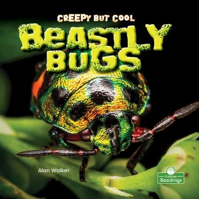 Cover for Alan Walker · Creepy But Cool Beastly Bugs (Pocketbok) (2021)
