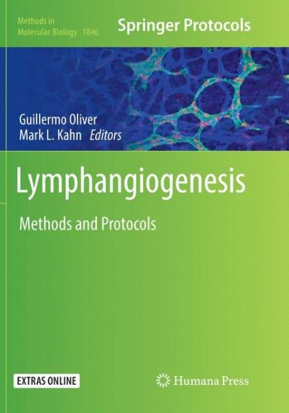 Cover for Lymphangiogenesis (Book) [Softcover reprint of the original 1st ed. 2018 edition] (2019)