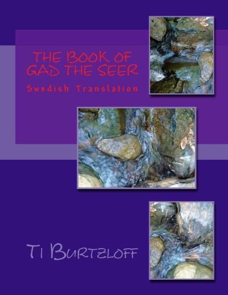 Cover for Ti Burtzloff · The Book of Gad the Seer: Swedish Translation (Paperback Bog) (2015)