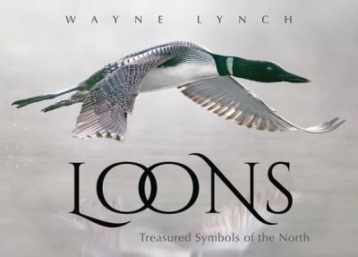 Cover for Wayne Lynch · Loons (Paperback Book) (2023)