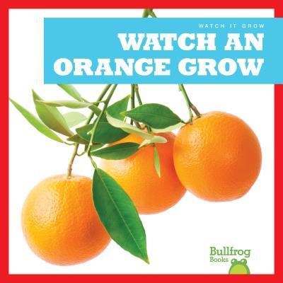 Cover for Kirsten Chang · Watch an Orange Grow (Hardcover Book) (2019)