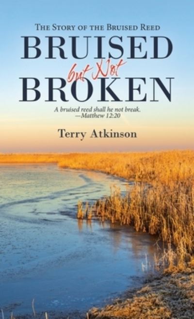 Cover for Terry Atkinson · Bruised but Not Broken (Hardcover Book) (2021)