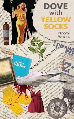 Cover for Naomi Fenstra · Dove With Yellow Socks (Paperback Book) (2024)