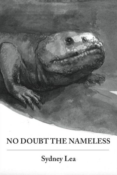 Cover for Sydney Lea · No Doubt the Nameless (Paperback Book) (2016)