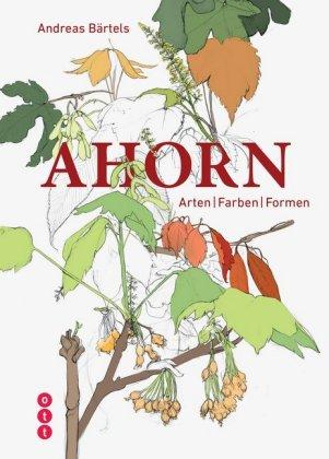 Cover for Bärtels · Ahorn (Book)