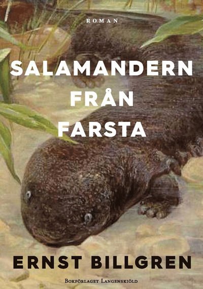 Cover for Ernst Billgren · Salamandern från Farsta (Book) (2020)