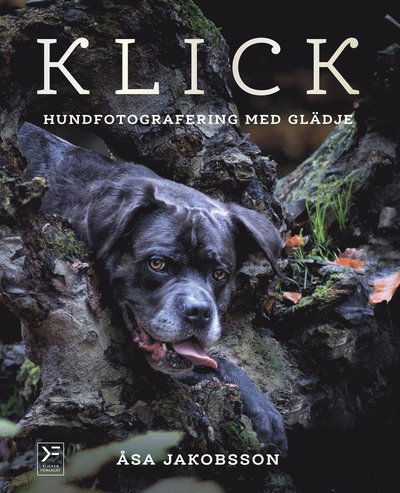 Cover for Åsa Jakobsson · Klick : hundfotografering med glädje (PDF) (2018)