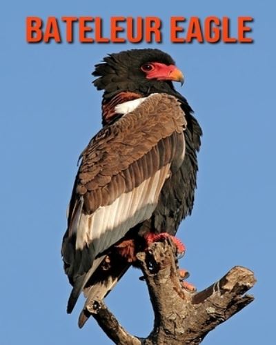 Cover for William Doyle · Bateleur Eagle (Paperback Book) (2020)