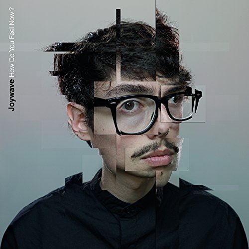 Cover for Joywave · How Do You Feel Now (CD) (2015)