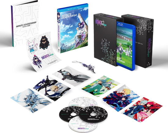 Infinite Dendrogram: Complete Series - Infinite Dendrogram: Complete Series - Film - Madman Anime - 0704400103735 - 11. maj 2021