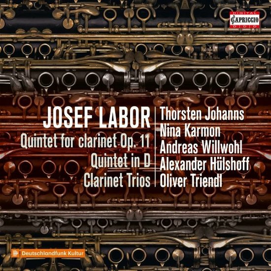 Cover for Johanns, Thorsten / Juri Vallentin · Josef Labor: Quintet for Clarinet Op. 11 - Quintet in D (CD) (2023)