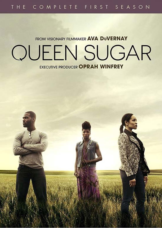 Cover for Queen Sugar: Complete First Season (DVD) (2017)