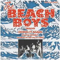 Cover for The Beach Boys · Doing It Again - Live at Syracuse University. Ny 1971 (CD) [Japan Import edition] (2023)