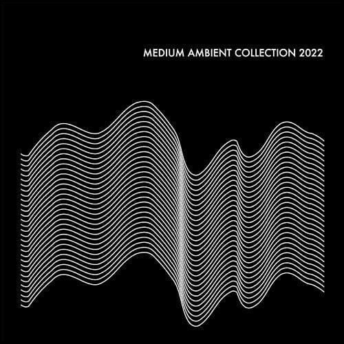 Cover for (Various Artists) · Medium Ambient Collection 2022 (LP) [Japan Import edition] (2024)