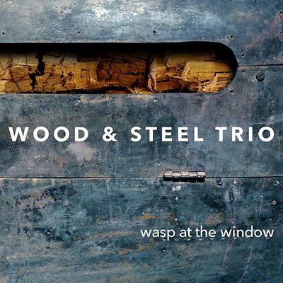 Wood & Steel Trio · Wasp At The Window (CD) (2023)