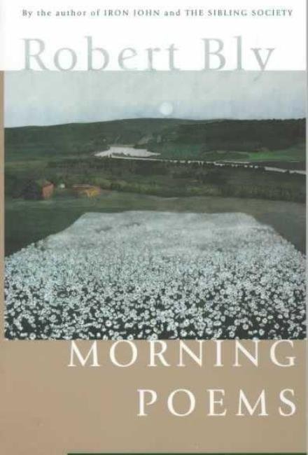 Cover for Robert Bly · Morning Poems (Paperback Book) [1st Harperflamingo Ed edition] (1998)