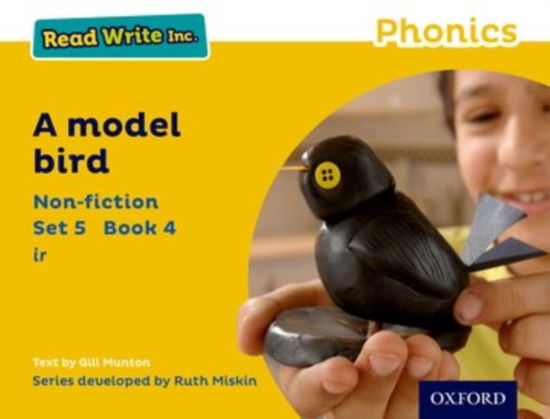 Cover for Gill Munton · Read Write Inc. Phonics: A Model Bird (Yellow Set 5 Non-fiction 4) - Read Write Inc. Phonics (Paperback Book) (2016)