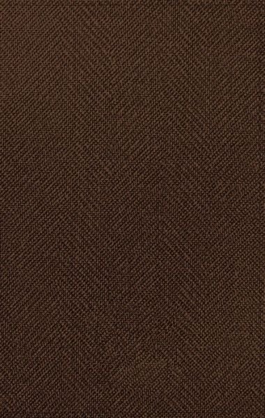 NASB, Thinline Bible, Large Print, Passaggio Setting, Leathersoft, Brown, Red Letter, 1995 Text, Comfort Print: Elegantly uniting single and double columns into one Passaggio Setting Bible design - Zondervan - Books - Zondervan - 9780310456735 - January 6, 2022