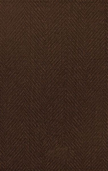 Cover for Zondervan · NASB, Thinline Bible, Large Print, Passaggio Setting, Leathersoft, Brown, Red Letter, 1995 Text, Comfort Print: Elegantly uniting single and double columns into one Passaggio Setting Bible design (Leather Book) (2021)