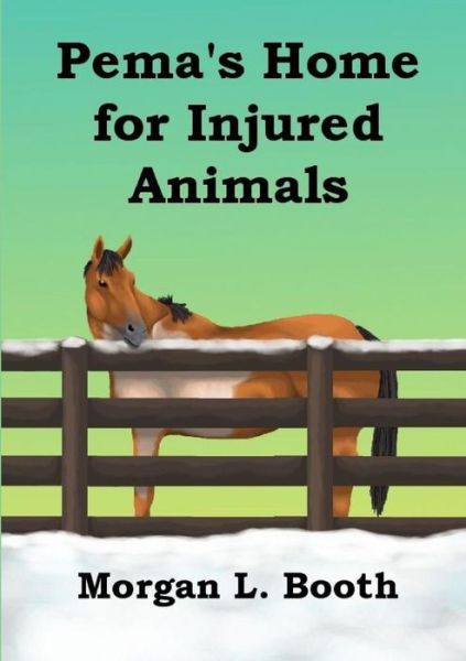 Cover for Morgan L. Booth · Pema's Home for Injured Animals (Paperback Book) (2016)