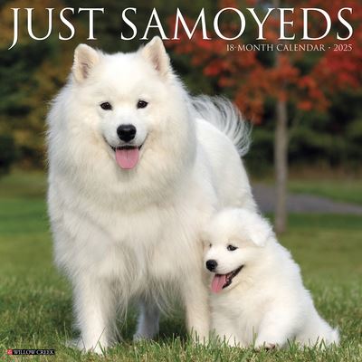 Willow Creek Press · Just Samoyeds 2025 12 X 12 Wall Calendar (Calendar) (2024)