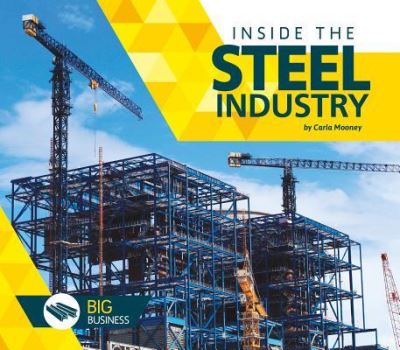 Cover for Carla Mooney · Inside the Steel Industry (Hardcover Book) (2016)