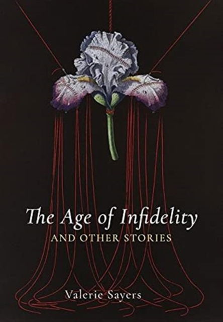 Cover for Valerie Sayers · The Age of Infidelity and Other Stories (Hardcover Book) (2020)