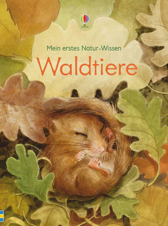 Cover for Bone · Mein erstes Natur-Wissen: Waldtier (Book)